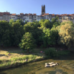 22. Cathédrale St-Nicolas de Fribourg (Photo : SJ-Bild)